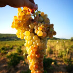 2. Gnorimia me tin agrotiki 150x150