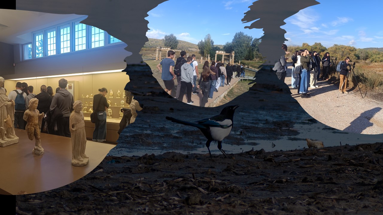 Επίσκεψη στη Βραυρώνα