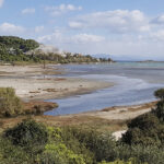 header banner Vravrona 2 150x150